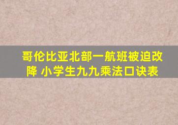 哥伦比亚北部一航班被迫改降 小学生九九乘法口诀表